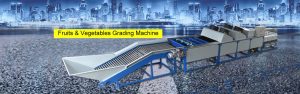 Fruits & Vegetables Grading Machine